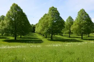 20201210-Neuer-Südfriedhof-Städtische-Friedhöfe-München-Mirjam-Lund Grüne Wiesen auf dem Neuen Südfriedhof