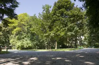 20210430_Leopoldpark_Katy_Spichal Der Leopoldpark in Schwabing