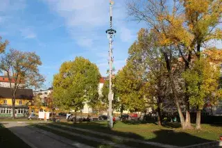 201127_laimer-anger_Christian Brunner Maibaum auf dem Laimer Anger
