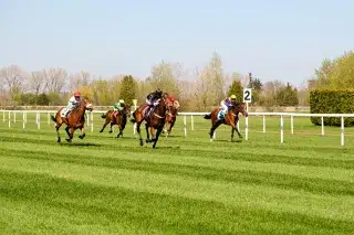 201201-galopp-riem-shutterstock Galopp-Rennen auf der Rennbahn in Riem