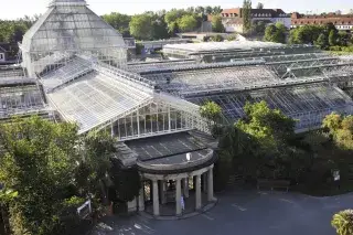 201803-botanischer-garten-gewaechshaus-franz-hoeck Das Gewächshaus im Botanischen Garten München