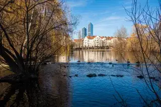 210223-wetransfer-anette-goettlicher Enten schwimmen auf dem Schwabinger See