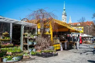 202103_viktualienmarkt_ostern_anettegoettlicher