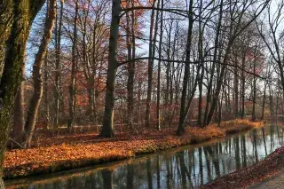 210112_EnglischerGarten-Herbst-Bach_Mde-Marie-LycePlaschka Herbst Landschaft am Eisbach im Englischen Garten