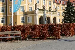 210112_Luisekieselbachplatz_Mde-Marie-LycePlaschka Der Luise-Kiesselbach-Platz in München.