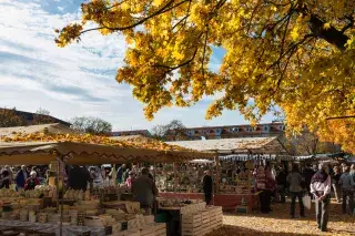 210127_herbst-sonne-auer-dult-kirchweihdult_Mde-LukasBarth Sonnige Herbststimmung auf der Auer Dult - Kirchweihdult
