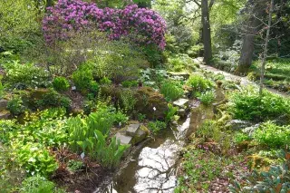 20210617_Botanischer_Garten_München_ES
