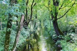Der Nymphenburg-Biedersteiner Kanal