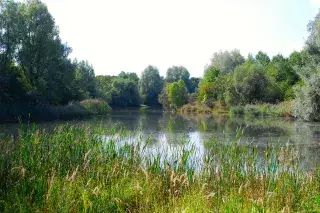 20210805_Zamilapark Am Ufer des Zamilasees im Zamilapark