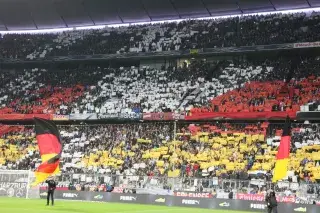 Fans of the German national team at a match in the Allianz Arena