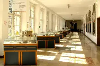 Ausstellungsräume des Geologischen Museums Sonne scheint durch die Fenster in das Geologische Museum