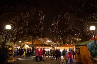 20210826_Haidhauser_Weihnachtsmarkt Lichterketten an den Ästen beim Haidhauser Weihnachtsmarkt auf dem Weißenburger Platz