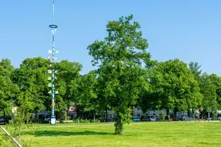 20210430_Luise-Kiesselbach-Platz_Michael_Hofmann Maibaum auf dem Luise-Kiesselbach-Platz
