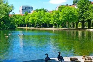 20201228_Schwabing_Entdeckertipps_Guide Entspannung mitten in der Stadt am Ufer des Schwabinger Sees