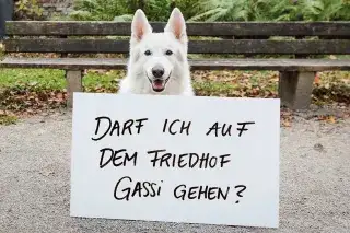 20220517_Friedhof_Fragen