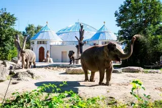 201223-tierpark-elefantenhaus Das fertig gestellte Elefantenhaus im Tierpark Hellabrunn
