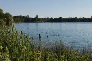 Fasaneriesee Fasaneriesee