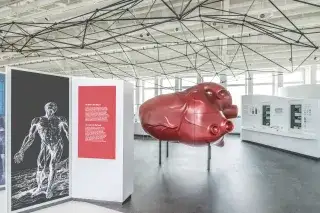 20220708_Deutsches_Museum_Gesundheit_Reinhard Krause und Hubert Czech Deutsches Museum Blick auf das Herz unter dem als Drahtkonstruktion stilisierten Brustkorbgeflecht in der Ausstellung Gesundheit.