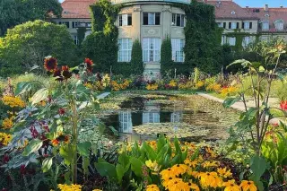 20220808_botanischer-garten-4_anettegoettlicher Botanischer Garten im Sommer