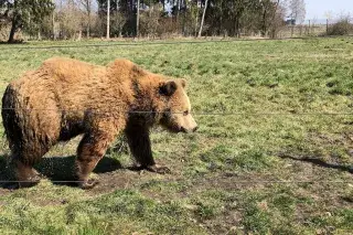 Wildpark Poing Wildpark Poing