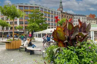 Viktualienmarkt Viktualienmarkt