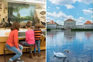 Museum Mensch und Natur/Schloss Nymphenburg Museum Mensch und Natur/Schloss Nymphenburg