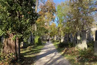 Alter Südfriedhof im Herbst Alter Südfriedhof im Herbst