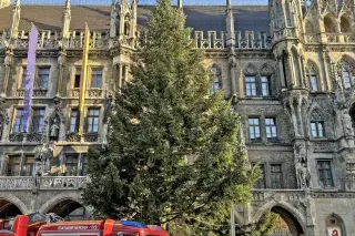 Der Christbaum vorm Münchner Rathaus Der Christbaum vorm Münchner Rathaus