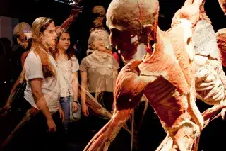Ausstellungszene mit jungen Besucherinnen und einem menschlichen Körper Ausstellungszene mit jungen Besucherinnen und einem menschlichen Körper