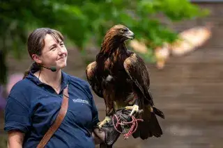 Trainerin mit Greifvogel im Tierpark Hellabrunn Trainerin mit Greifvogel im Tierpark Hellabrunn