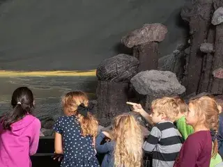 Kinder im Museum Mensch und Natur Kinder im Museum Mensch und Natur